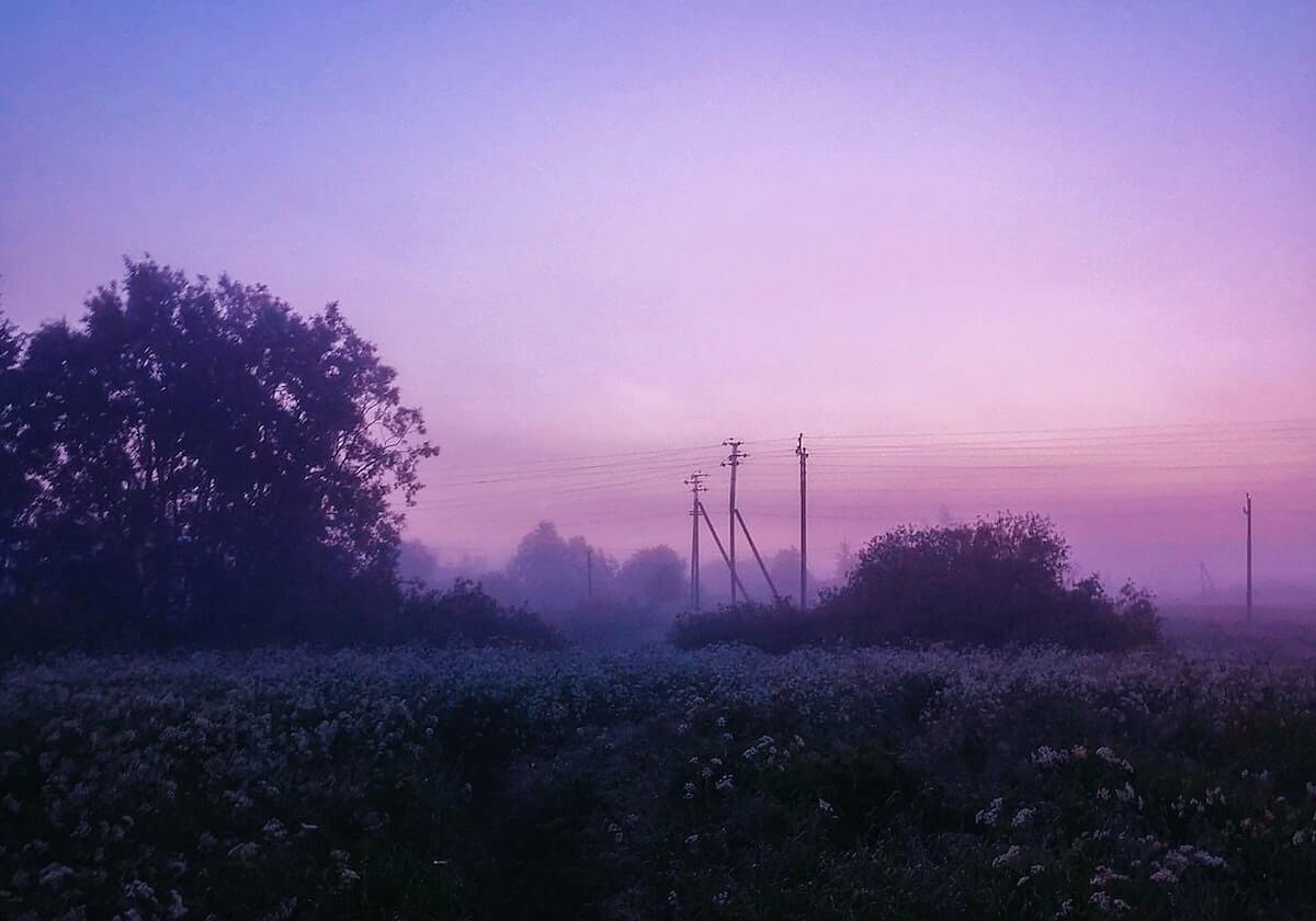 有人把截图发出来了：停更后的第一条动态背后的真相，终于有人讲清楚了