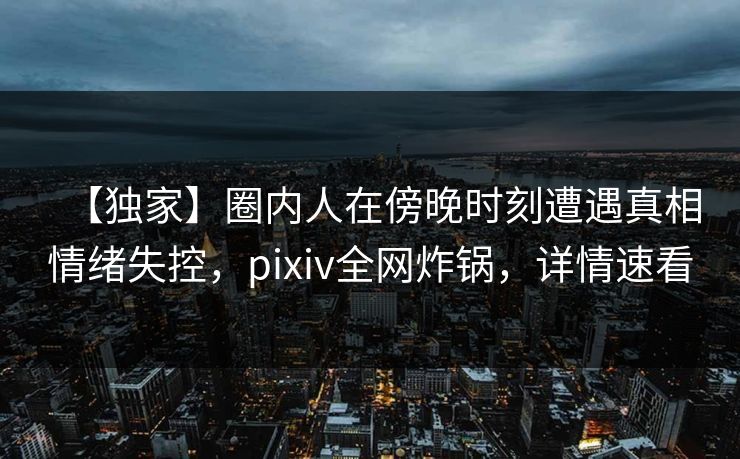 【独家】圈内人在傍晚时刻遭遇真相情绪失控，pixiv全网炸锅，详情速看