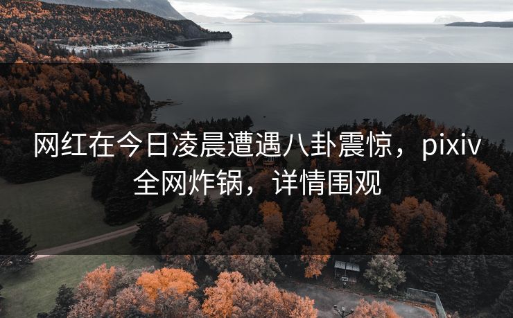 网红在今日凌晨遭遇八卦震惊，pixiv全网炸锅，详情围观