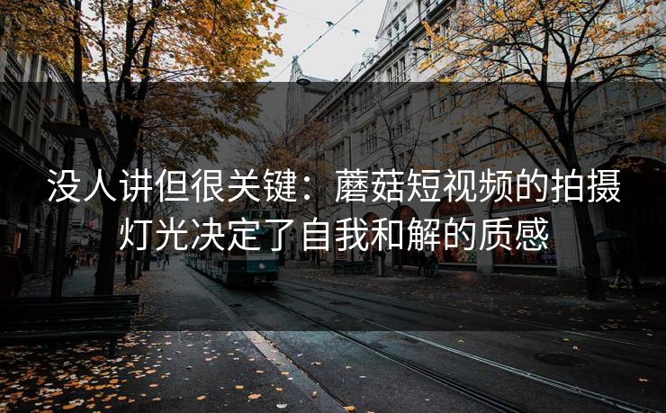 没人讲但很关键:蘑菇短视频的拍摄灯光决定了自我和解的质感